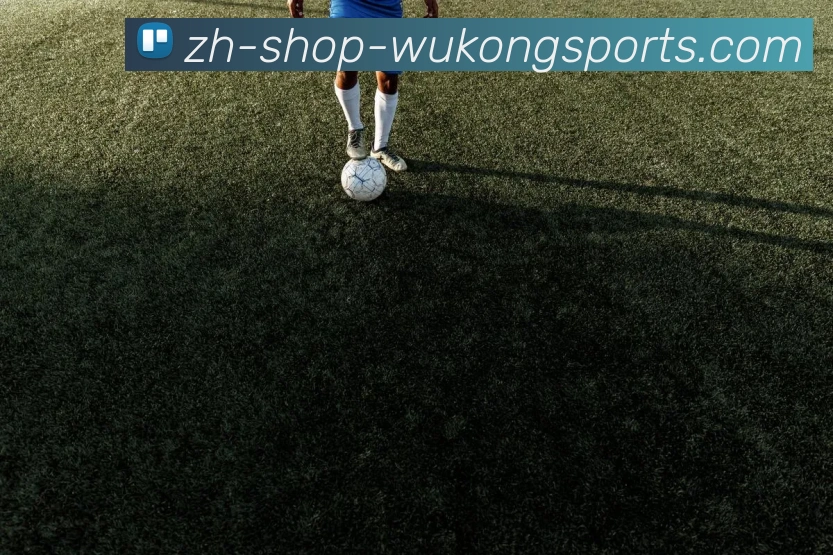奖项证书